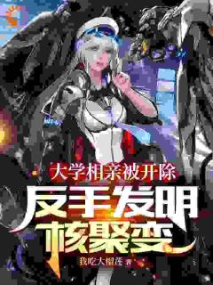 大学相亲被开除，反手发明核聚变完整版小说在线阅读地址_主角林飞谭玉珠