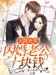 《天降大奖：闪婚老公十块钱》小说最新章节免费阅读（完整版未删节）
