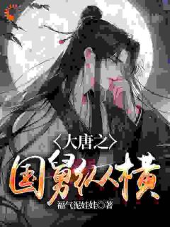 《大唐之国舅纵横》小说章节列表在线阅读_窦乐李秀宁小说阅读