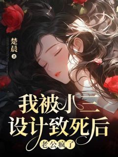 《我被小三设计致死后，老公疯了》肖涵孙彦君段伊伊精彩内容在线阅读