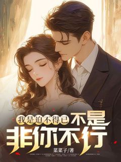 李斌孟雨晴完整目录在线阅读_(我是迫不得已，不是非你不行！)_大结局无弹窗
