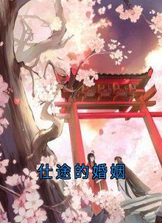 《仕途的婚姻》小说全文精彩章节在线阅读（婉玉宋哲）