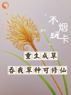 陆鸣王然不玩烟卡_陆鸣王然在线阅读