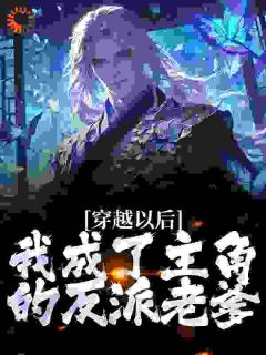 《苏凡秦雨宁》小说完结版精彩阅读_穿越以后，我成了主角的反派老爹小说全文