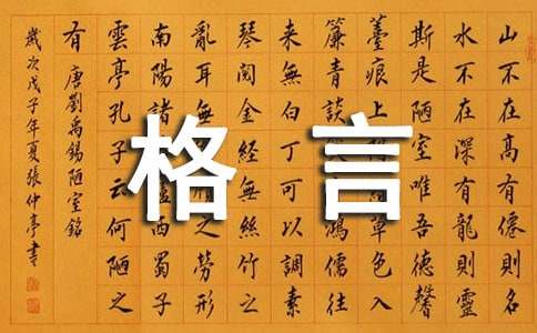 2024年有关个性人生格言86句