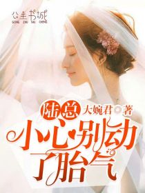 陆总，小心别动了胎气宋凉音陆战霆目录_陆总，小心别动了胎气阅读