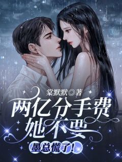 《陆心妍齐砚墨》小说章节列表在线试读_第13章