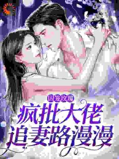 《沈洛兮陆时予》小说章节免费试读_诱哄囚爱：宝贝乖，锁链自己缠小说全文