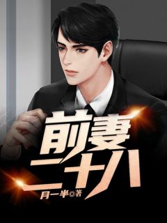 前妻二十八精彩章节免费试读_林松李婉儿小说结局无删节