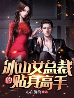 冰山女总裁的贴身高手宁凡童童大结局在线阅读