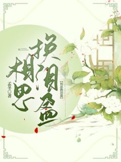 相思换泪盈白芷时渊小说精彩章节免费试读