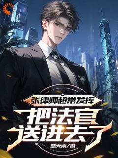 张律师超常发挥，把法官送进去了精彩章节免费试读_张辰欧阳雪小说_大结局