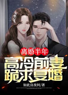 主角是***半年，高冷前妻跪求复婚的小说_《陈凡白羽》_全文免费阅读