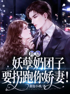 《封总，妖孽奶团子要拐跑你***！》小说章节目录在线试读_沈舒沅封宴小说全文