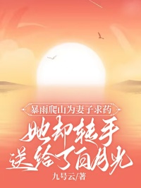 《陆北辰周雨晴马宋景》小说全集免费在线阅读（暴雨爬山为妻子求药，她却转手送给了白月光）