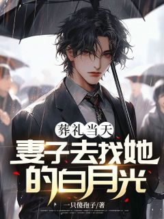 《路南林清》葬礼当天妻子去找她的白月光小说最新章节目录及全文完整版