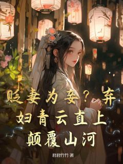 贬妻为妾？弃妇青云直上，山河全文在线阅读_辛元元宋如松全本无弹窗