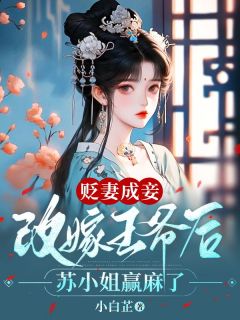《苏清梦林钊》贬妻成妾：改嫁***后苏小姐赢麻了章节目录免费阅读