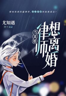 《当离婚律师想离婚》大结局精彩阅读_《当离婚律师想离婚》最新章节目录