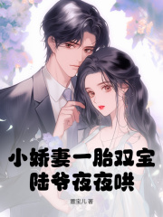叶声声陆时宴小***一胎双宝，陆爷夜夜哄！小说阅读_叶声声陆时宴文本在线阅读