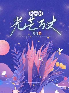 你来时，光芒万丈顾连州林翩月小说在线阅读全文章节目录完整版