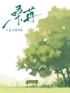 《桑苒沈亦安》桑苒小说精彩内容免费试读