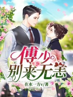 季南歌傅沉渊傅少，别来无恙全部章节目录