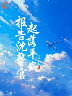 报告沈警官，起落平安完整目录在线阅读_(顾声声沈淮序)_大结局无弹窗