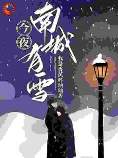 陈雪沈谦南陈雪沈谦南今夜南城有雪by我是香蕉吥呐呐完整在线阅读
