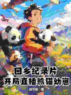 回乡纪录片：开局直播熊猫幼崽主角叶辰熊猫全文精彩内容在线试读