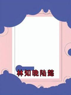《陆懿林知晚》林知晚陆懿章节目录精彩阅读