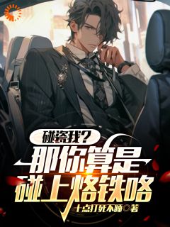 《碰瓷我？那你算是碰上烙铁咯！》小说章节目录免费试读_苏幕大牛小说阅读