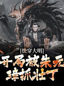 杨少峰朱重八快穿大明：开局被朱元璋抓壮丁小说精彩章节篇免费试读