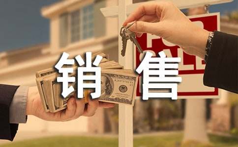 销售员年终个人工作总结优秀