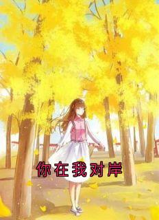 最新《你在我对岸》夏添季斯琰小说免费试读全文章节