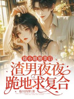 徐小姐独美后，渣男夜夜跪地求复合全文免费试读_徐染顾砚舟小说全本无弹窗