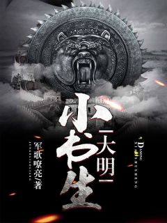 《大明小书生》小说完结版在线阅读_何家安陈月英小说阅读