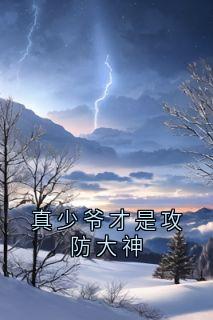 《林新宋佑薛琦》小说全文精彩章节在线阅读（真少爷才是攻防大神）