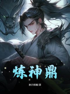 《炼神鼎》全文精彩章节在线阅读（秦玄璇玑）