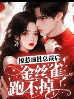 《温婉蒋白》撩惹疯批总裁后，金丝雀跑不掉了章节在线阅读