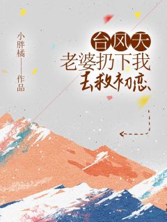 《苏泽柳如烟》小说章节目录免费试读_台风天，老婆扔下我去救初恋小说全文
