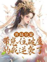 《赵念儿大丫》小说大结局免费试读_开局分家？带崽住破屋的我逆袭了小说全文