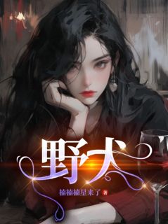 《野犬》南绡霍寒霖免费试读