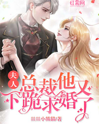宁含江景声主角夫人，总裁他又下跪求婚了小说完整版全文在线阅读