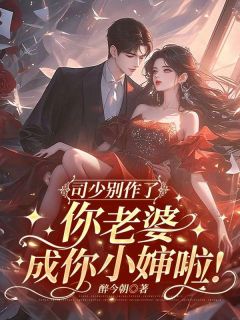 《宋祁念司晏城》全文免费章节在线试读_司少别作了，你老婆成你小婶啦！小说