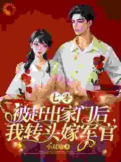 七零：被赶出家门后我转头嫁军官(主角宋芸丁建业)_七零：被赶出家门后我转头嫁军官在线阅读