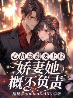《心机总裁要上位，***她概不负责》小说完结版免费试读_沈蔷傅今慎小说全文