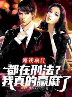 《赚钱项目都在刑法？我真的赢麻了》沈易夏小玲完结版精彩试读
