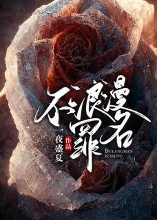 周一陆聿小说阅读_第2章