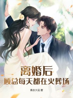 沈瑶顾天佑主角离婚后，顾总每天都在火葬场全文精彩内容在线试读